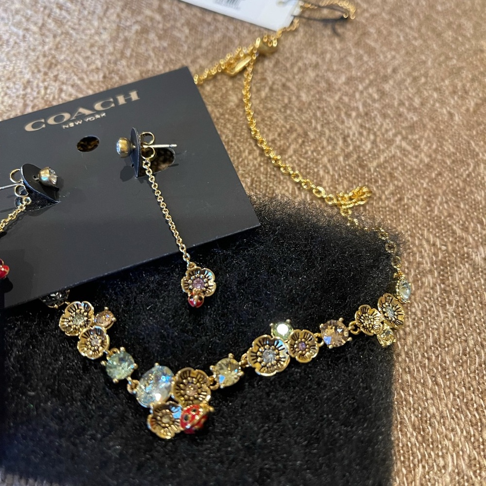 coach necklace and earrings set